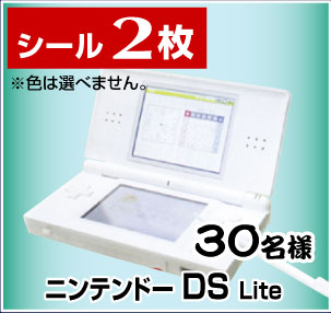 ニンテンドー DS Lite