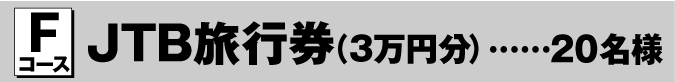 Fコース ニンテンドー3DS LL …20名様