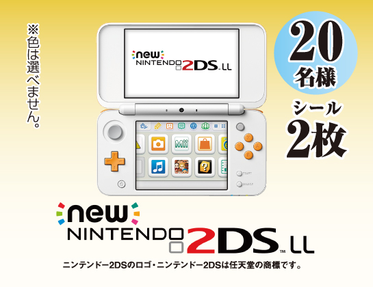 ニンテンドー2DS LL