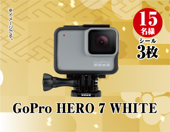GoPro HERO 7 WHITE