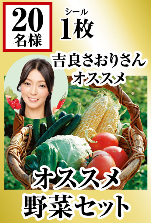 オススメ野菜セット