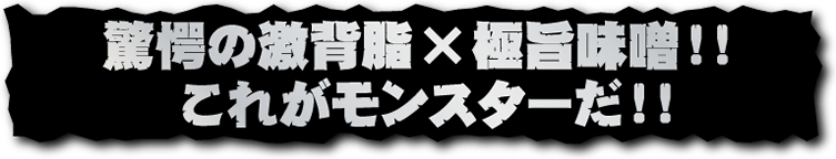 驚愕の激背脂×極旨味噌!!これがモンスターだ!!