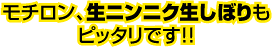 モチロン、生ニンニク生しぼりもピッタリです!!