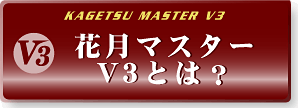 Ԍ}X^[V3Ƃ́H