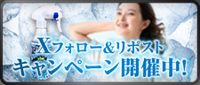 レギュラーメニュー
