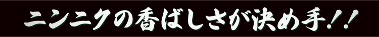 ニンニクの香ばしさが決め手！！