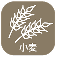 小麦